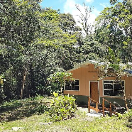 Forest Garden House Monteverde Ngoại thất bức ảnh
