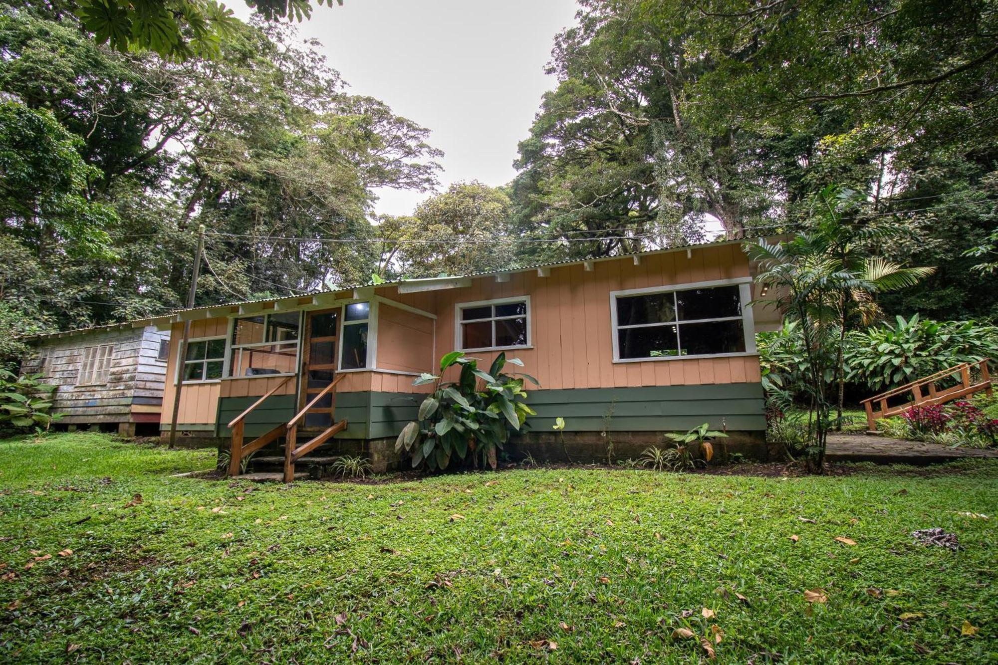 Forest Garden House Monteverde Ngoại thất bức ảnh