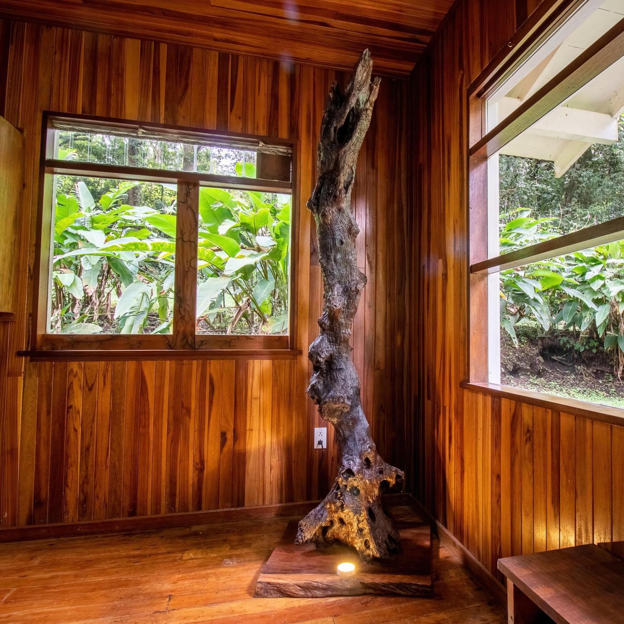 Forest Garden House Monteverde Ngoại thất bức ảnh