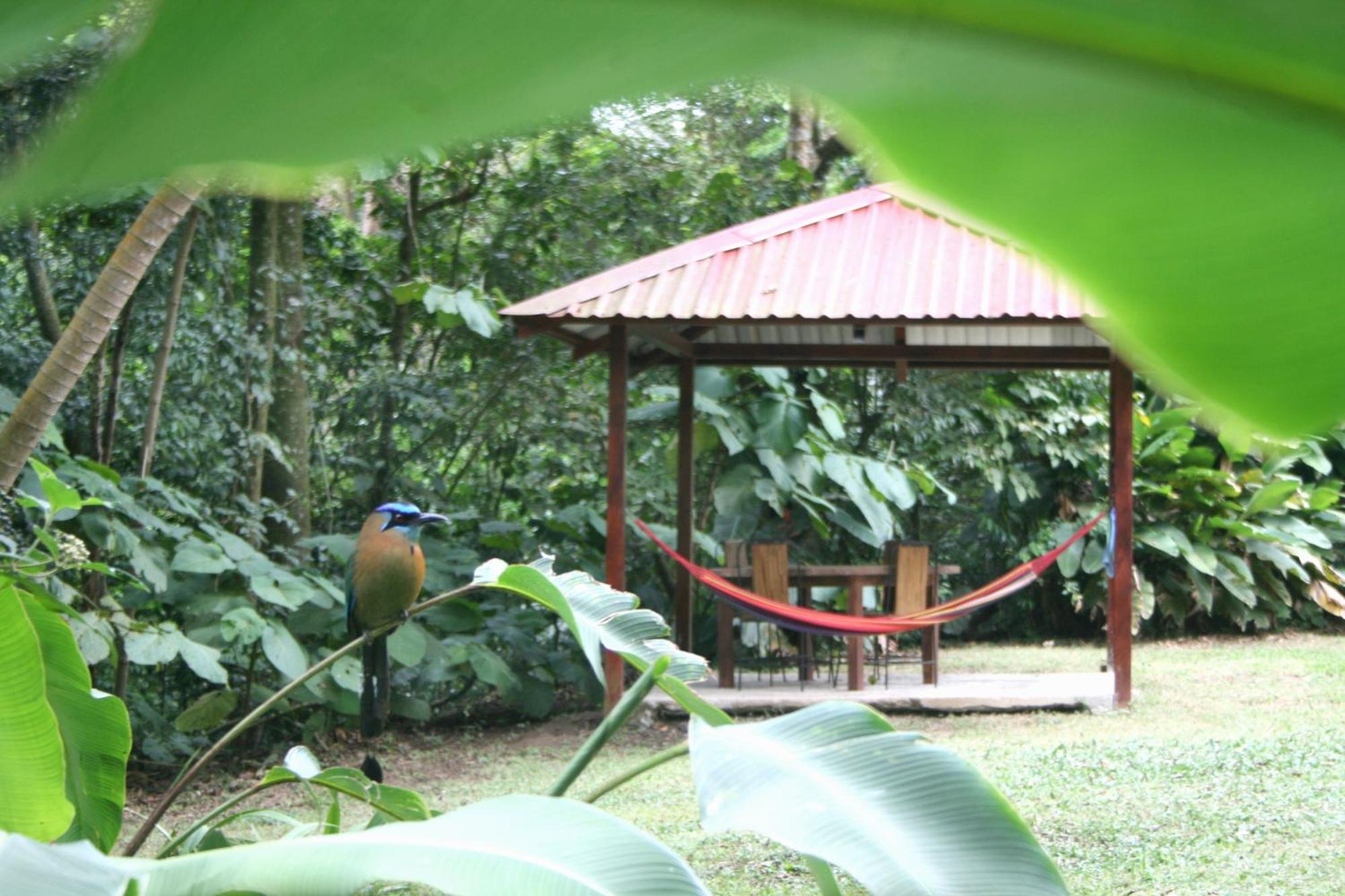 Forest Garden House Monteverde Ngoại thất bức ảnh